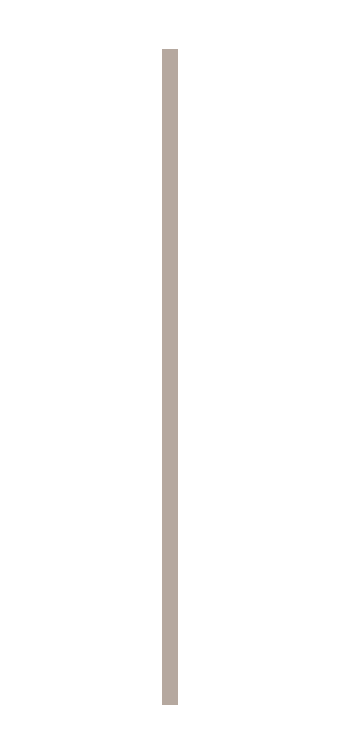 ELEMENTOS (29)