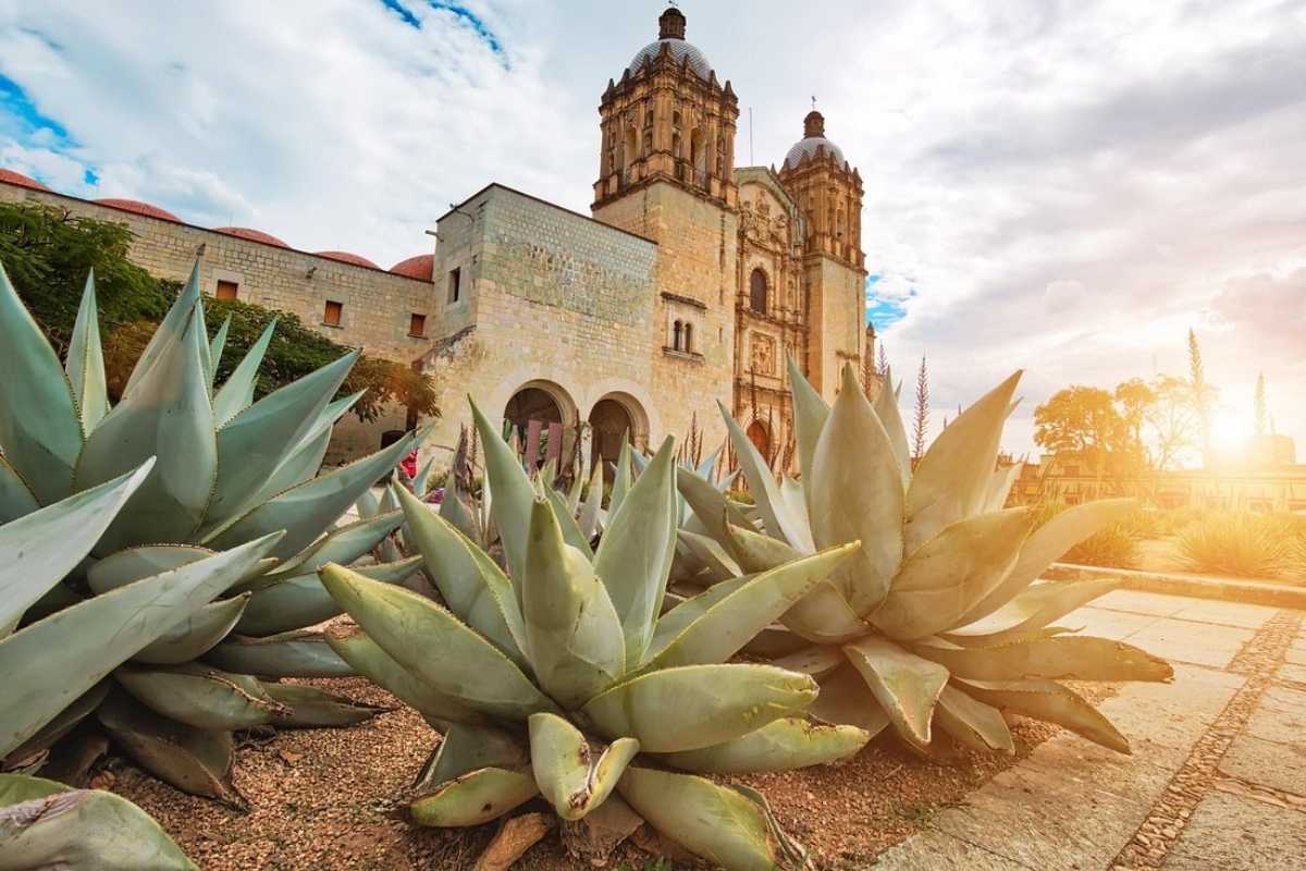 Oaxaca (6)
